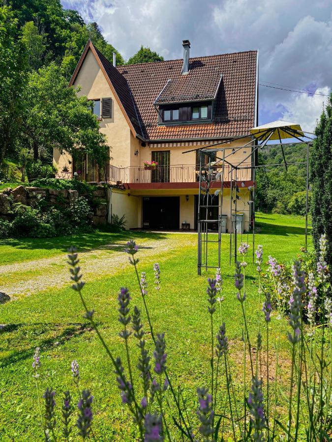 La Araucania, 2 Personnes - Wifi Rombach-le-Franc Luaran gambar